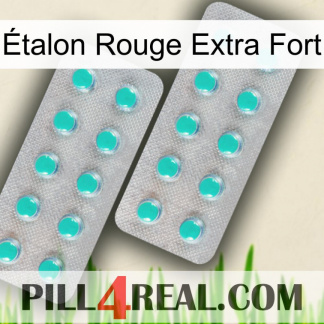 Étalon Rouge Extra Fort 29